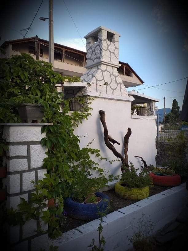 Konstantinos-Elli Rooms Nea Vrasna Bagian luar foto