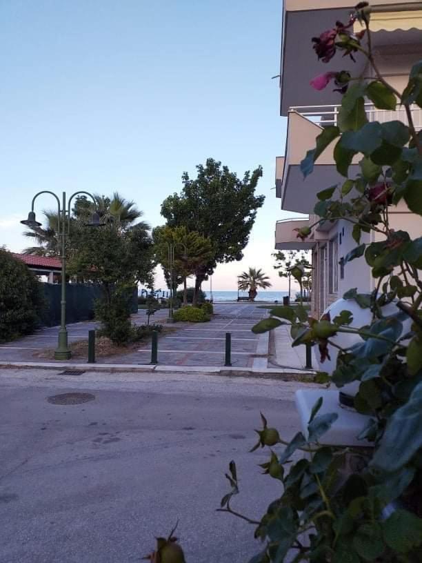 Konstantinos-Elli Rooms Nea Vrasna Bagian luar foto